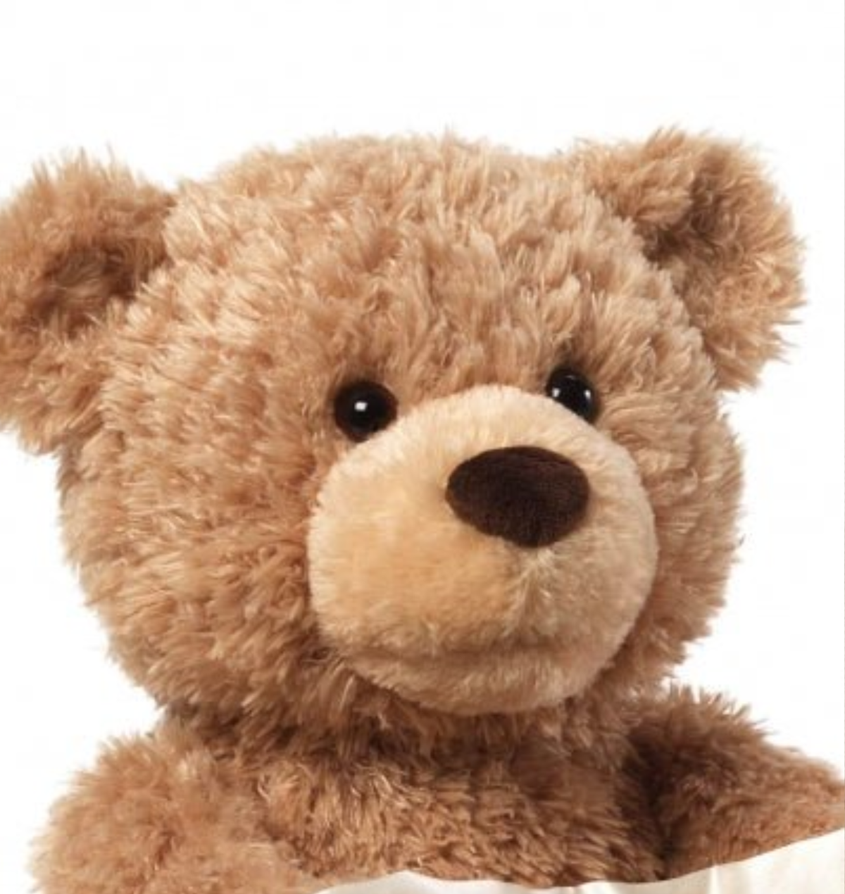 Peekaboo Teddy Bear